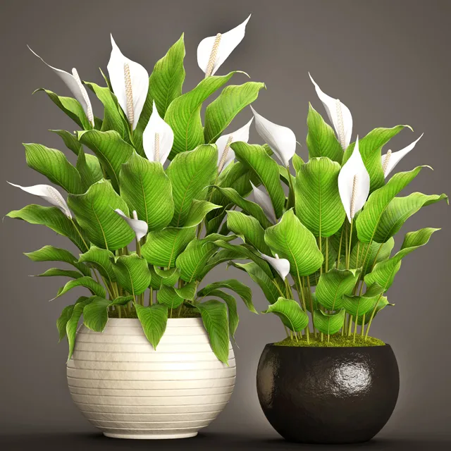 decoration – Plants 928 3ds Max