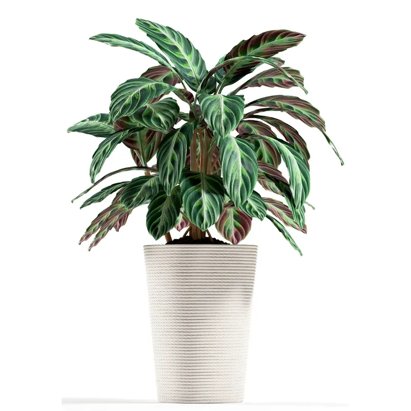 decoration – Plants 93 3ds Max