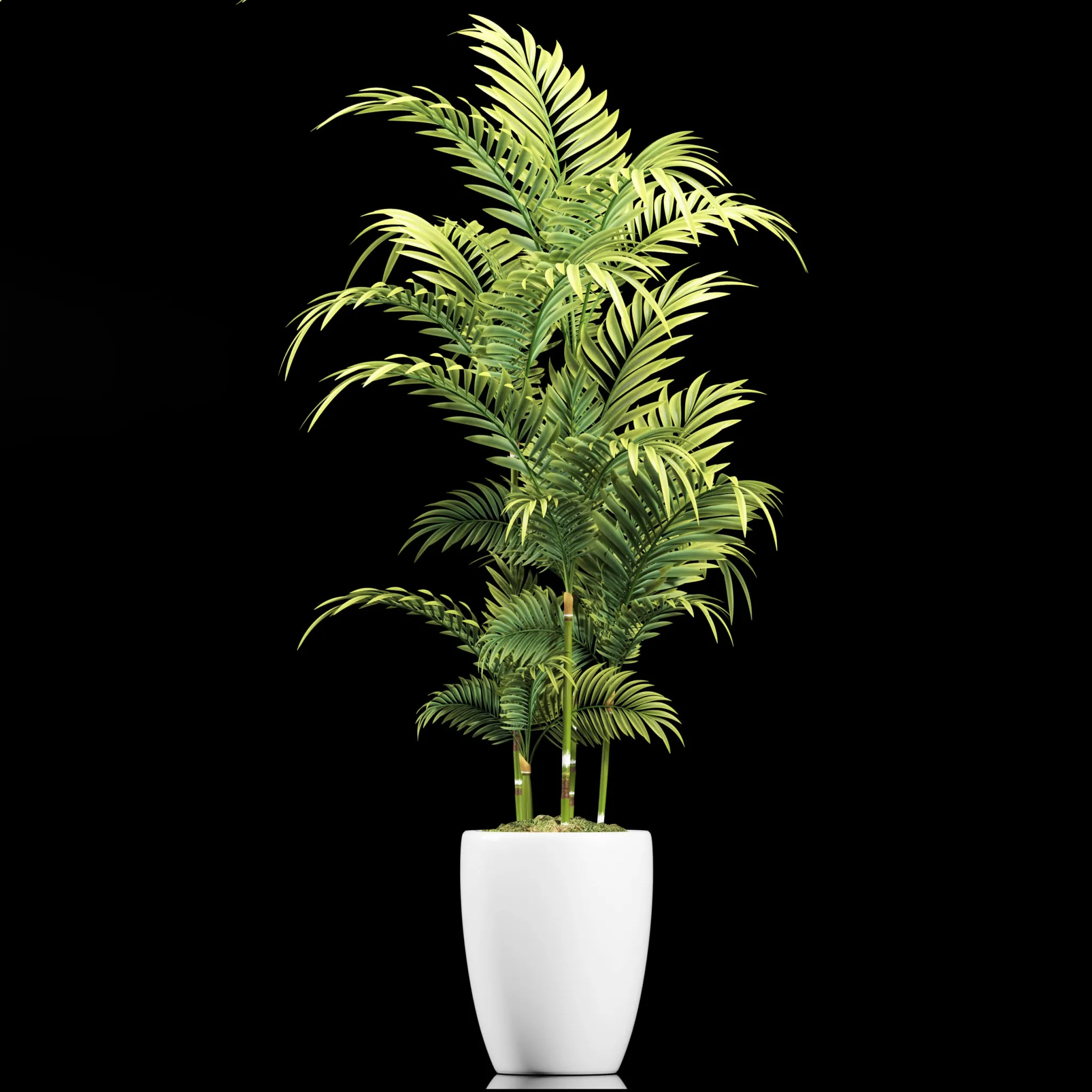 decoration – Plants 95 3ds Max