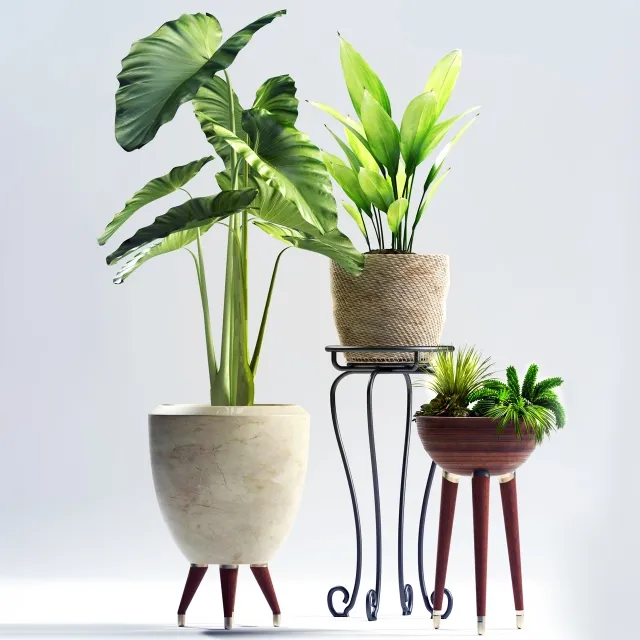 decoration – Plants 97 3ds Max