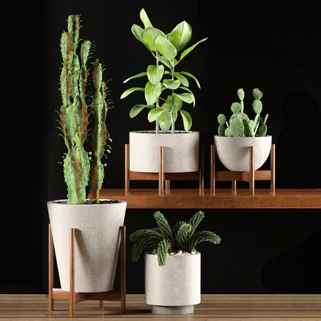 decoration – Plants 9836 3ds Max