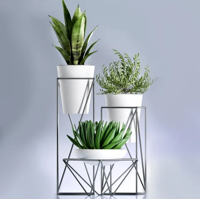 decoration – Plants 99 3ds Max