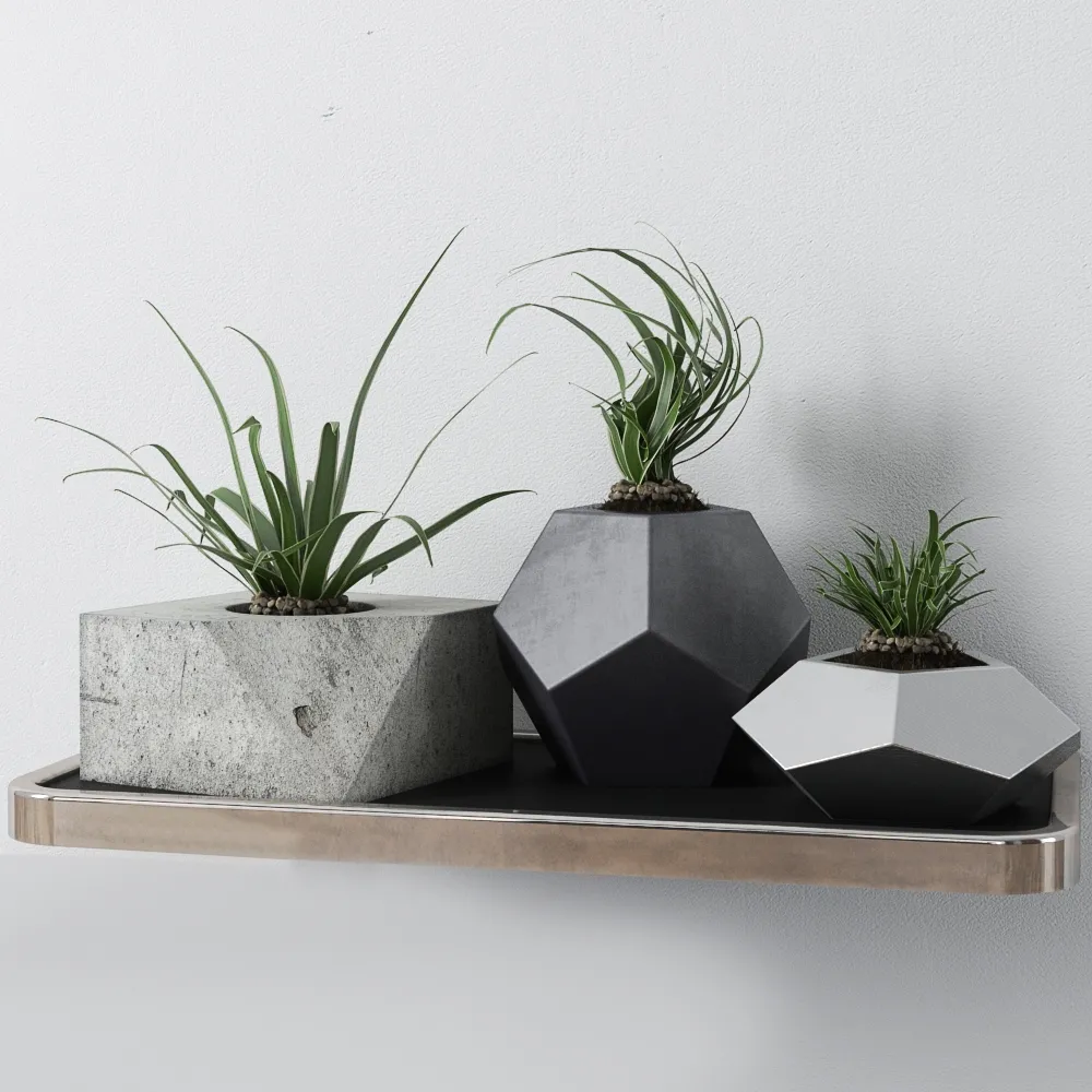 decoration – Plants 99 3ds Max