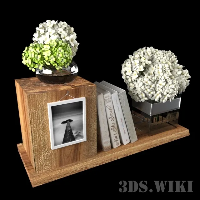 decoration – Plants Books and Other Items 3ds Max