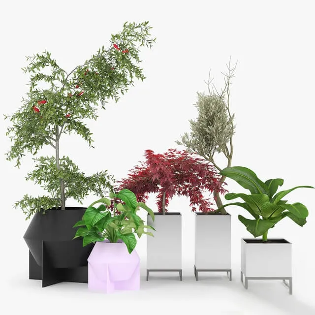 decoration – Plants Collection 022 3ds Max