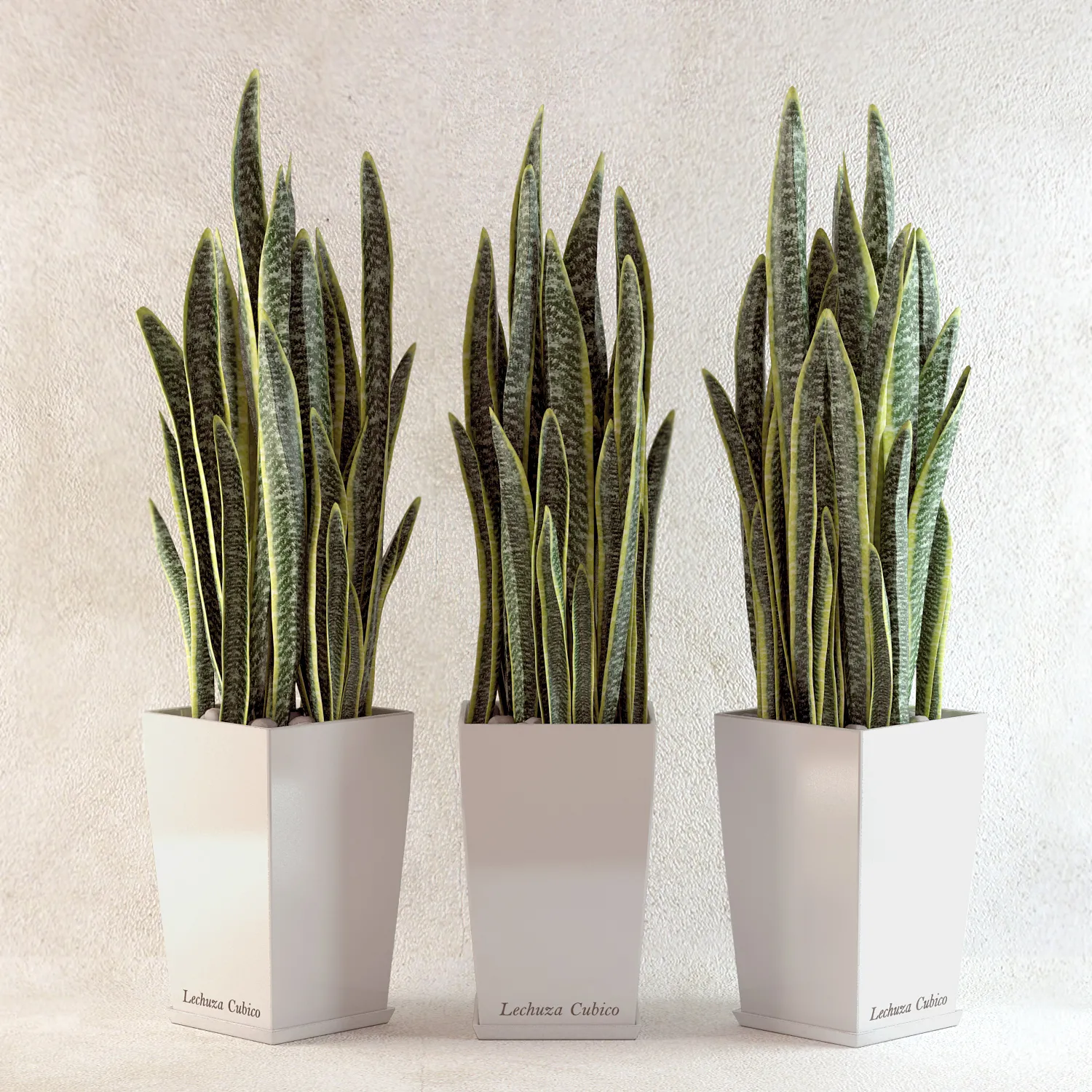 decoration – Plants collection 107 3ds Max