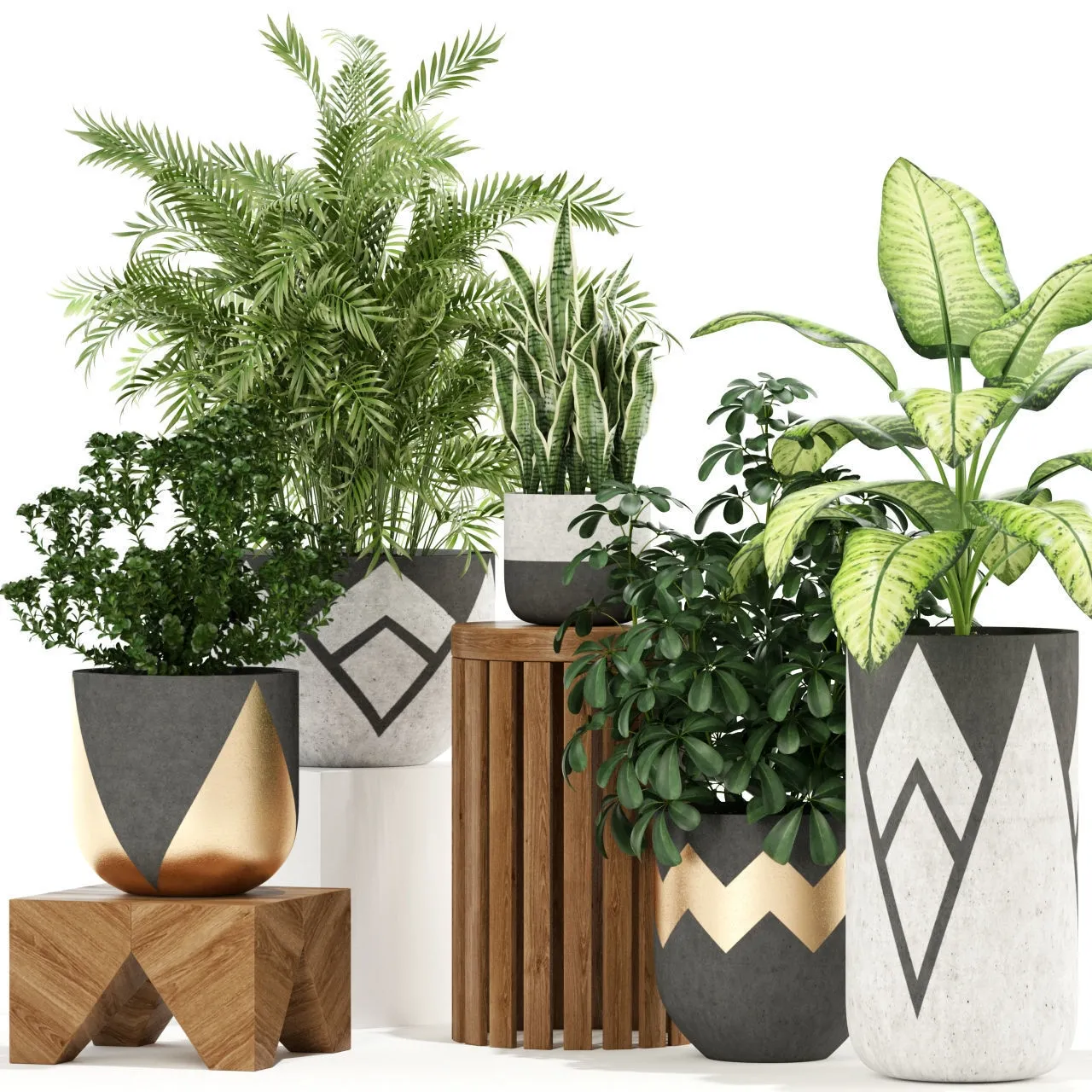 decoration – Plants collection 109 3ds Max