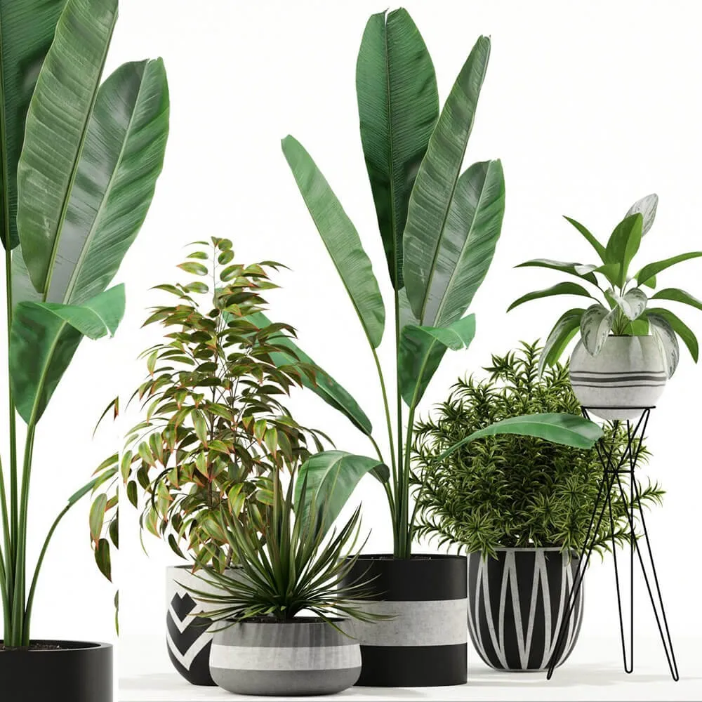 decoration – Plants collection 114 3ds Max