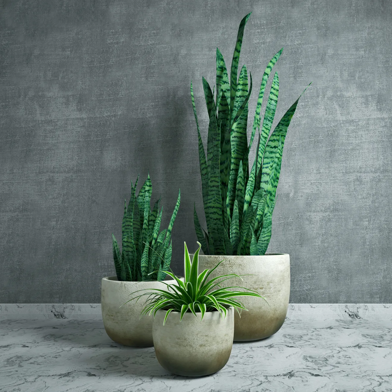 decoration – Plants collection 12 3ds Max