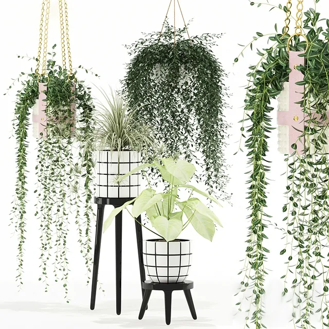 decoration – Plants collection 121 3ds Max