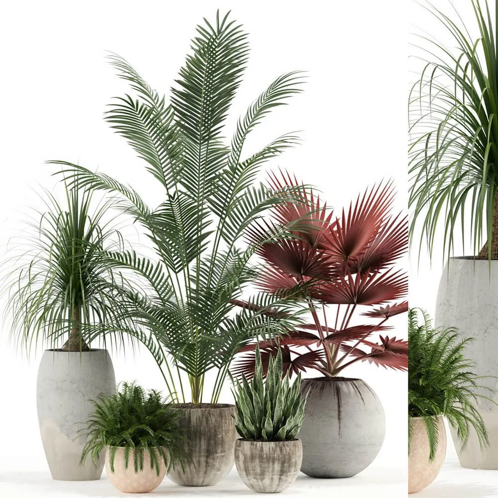 decoration – Plants collection 122 3ds Max