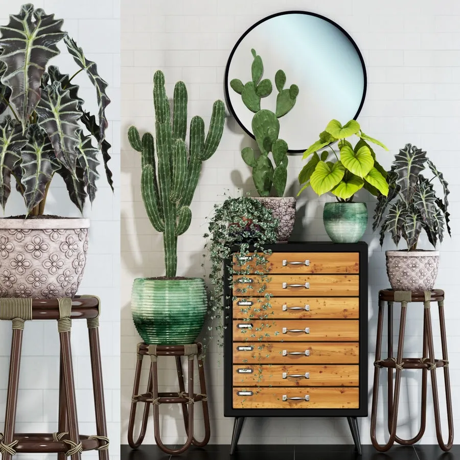 decoration – Plants collection 123 3ds Max