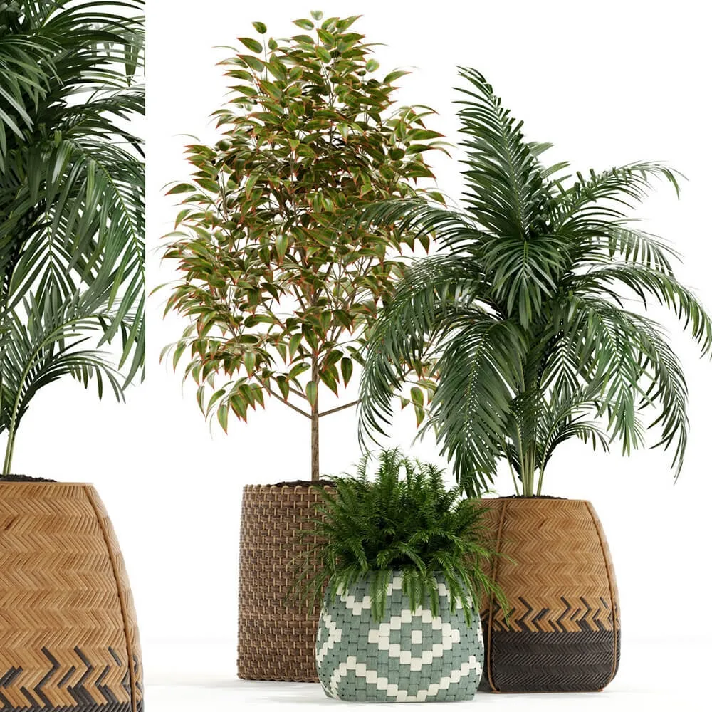 decoration – Plants collection 126 3ds Max