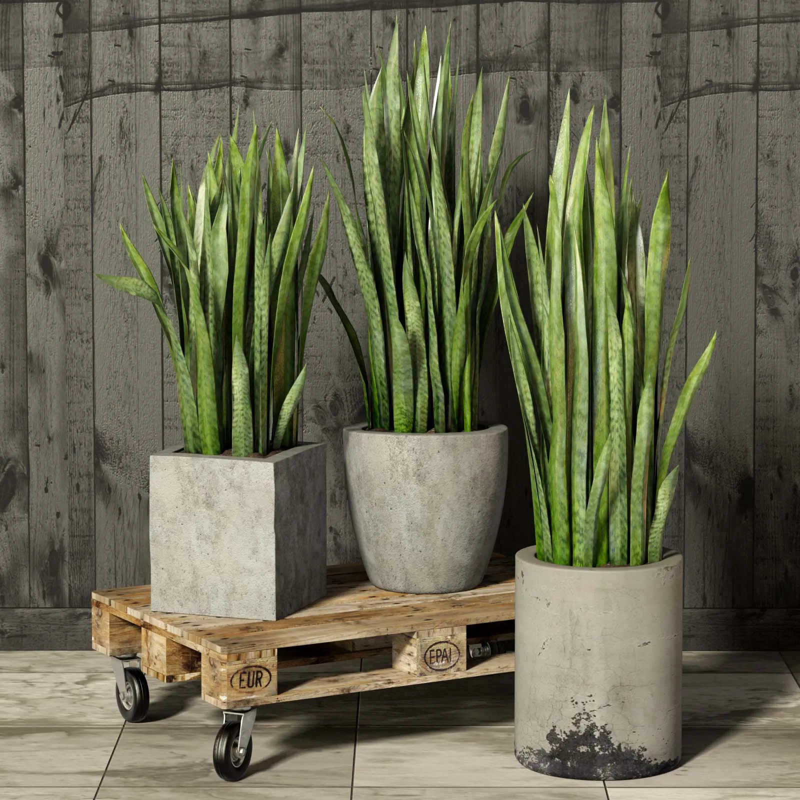 decoration – Plants collection 128 3ds Max