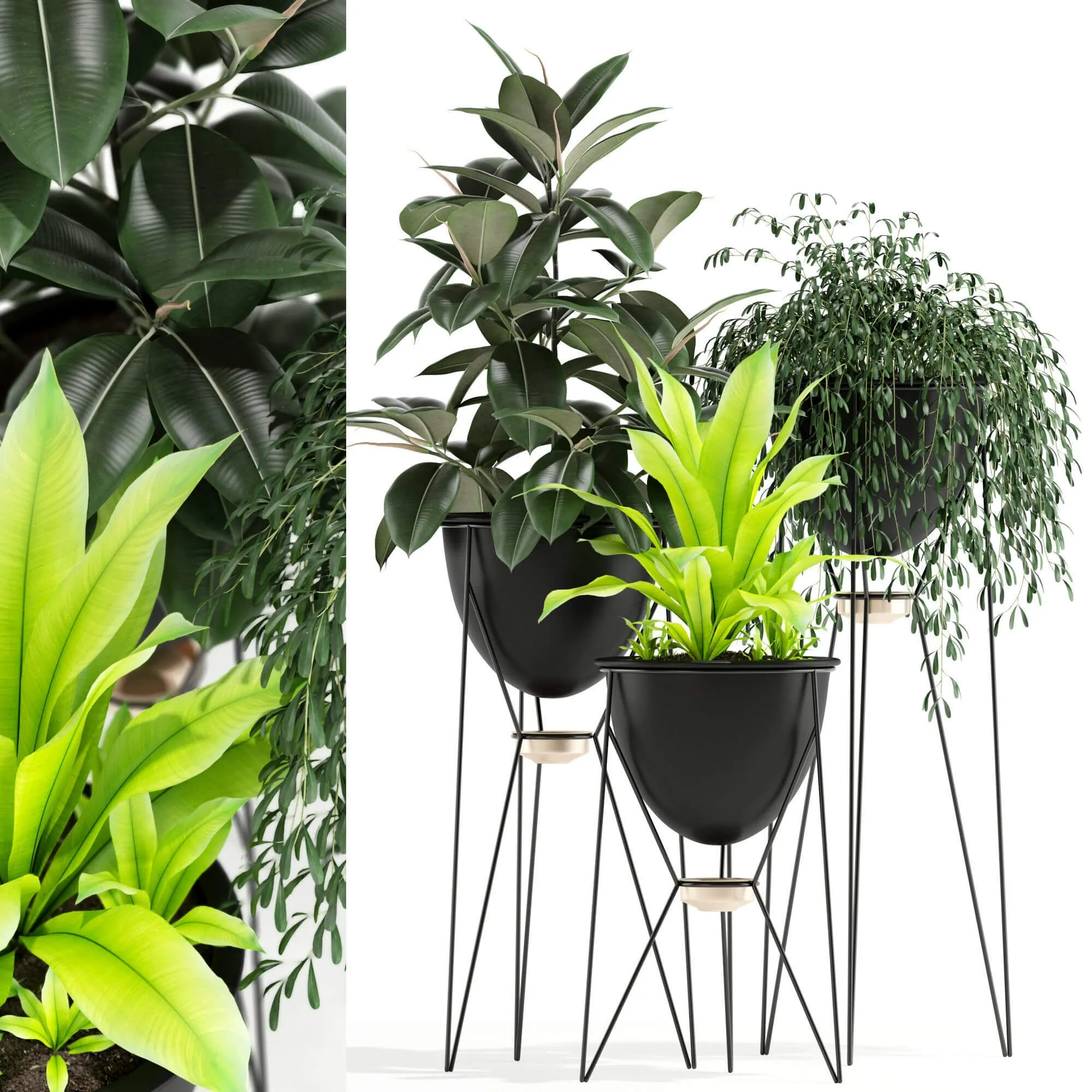 decoration – Plants collection 141 3ds Max