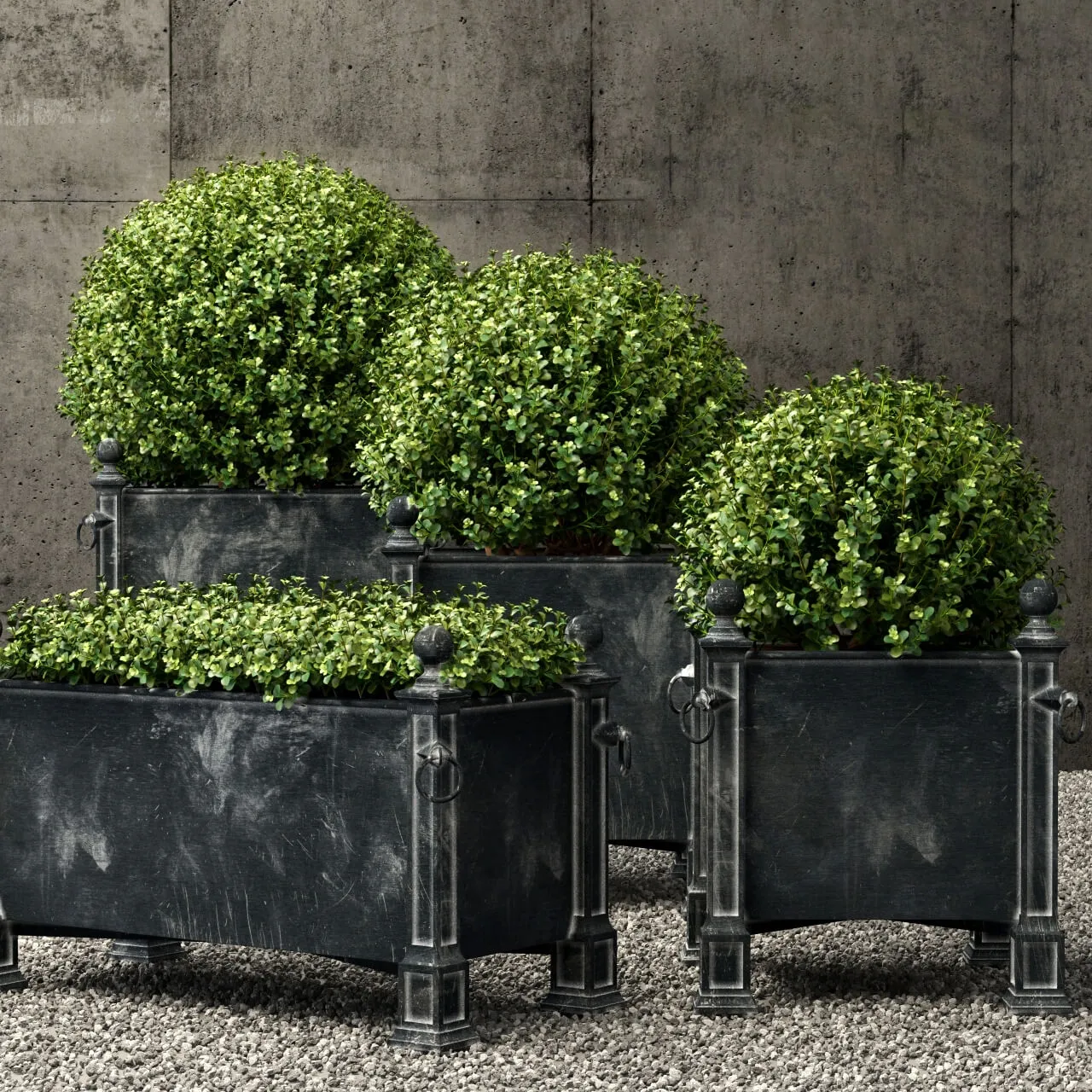 decoration – Plants collection 156 3ds Max