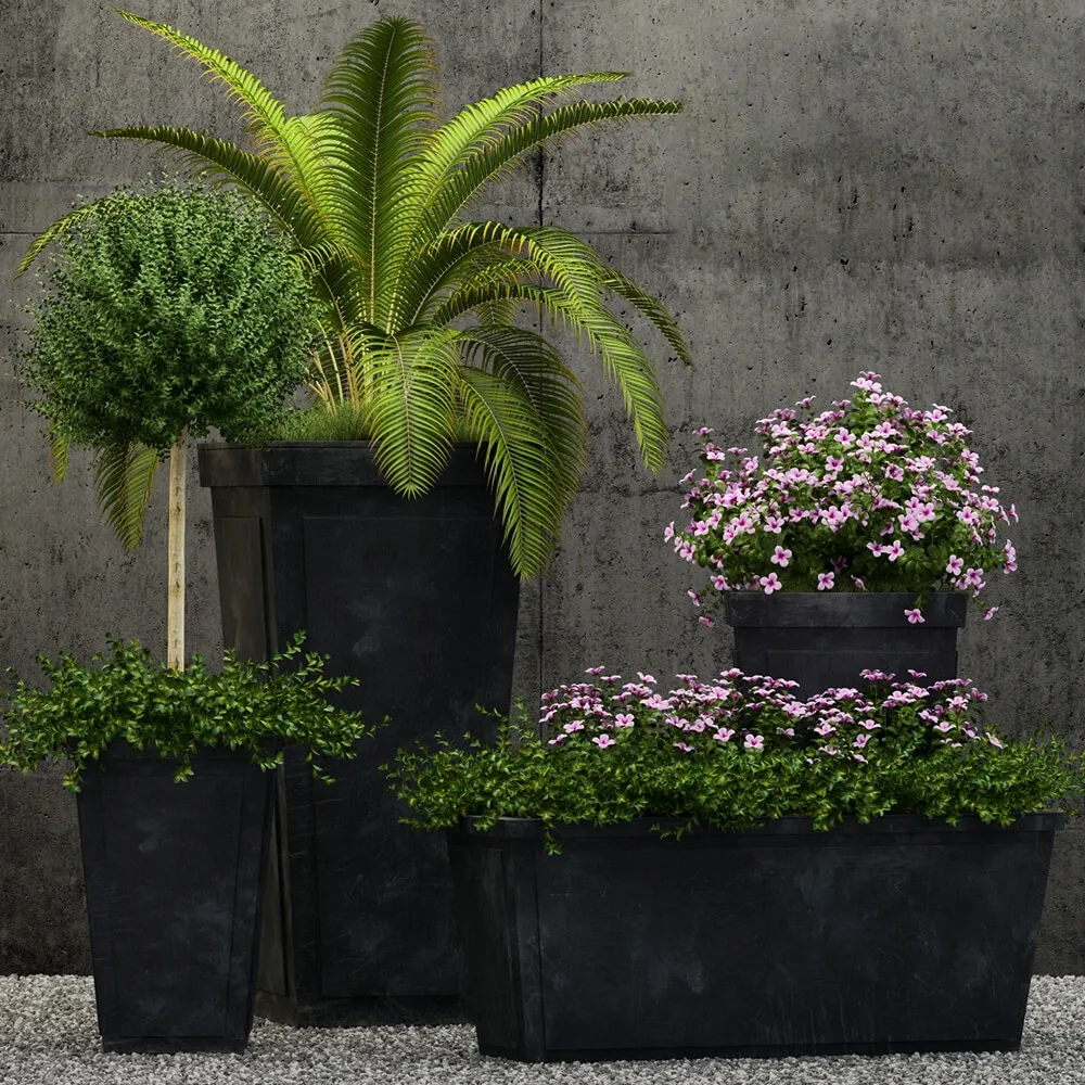 decoration – Plants collection 177 3ds Max