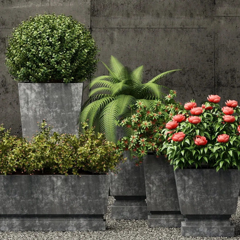 decoration – Plants collection 211 3ds Max