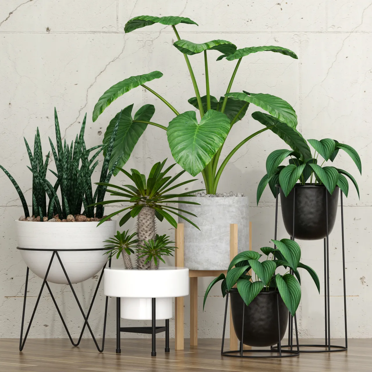 decoration – Plants collection 213 3ds Max