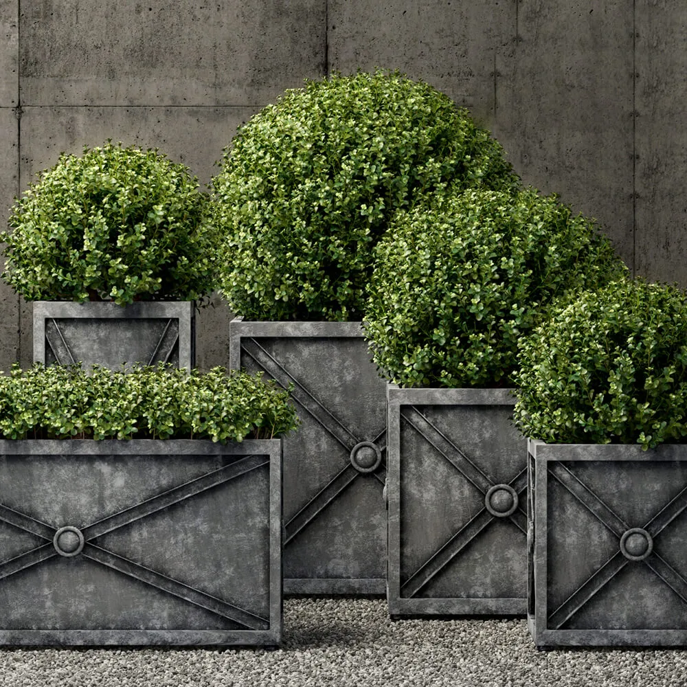 decoration – Plants collection 259 3ds Max