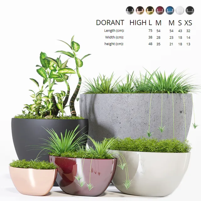 decoration – Plants collection 321 3ds Max