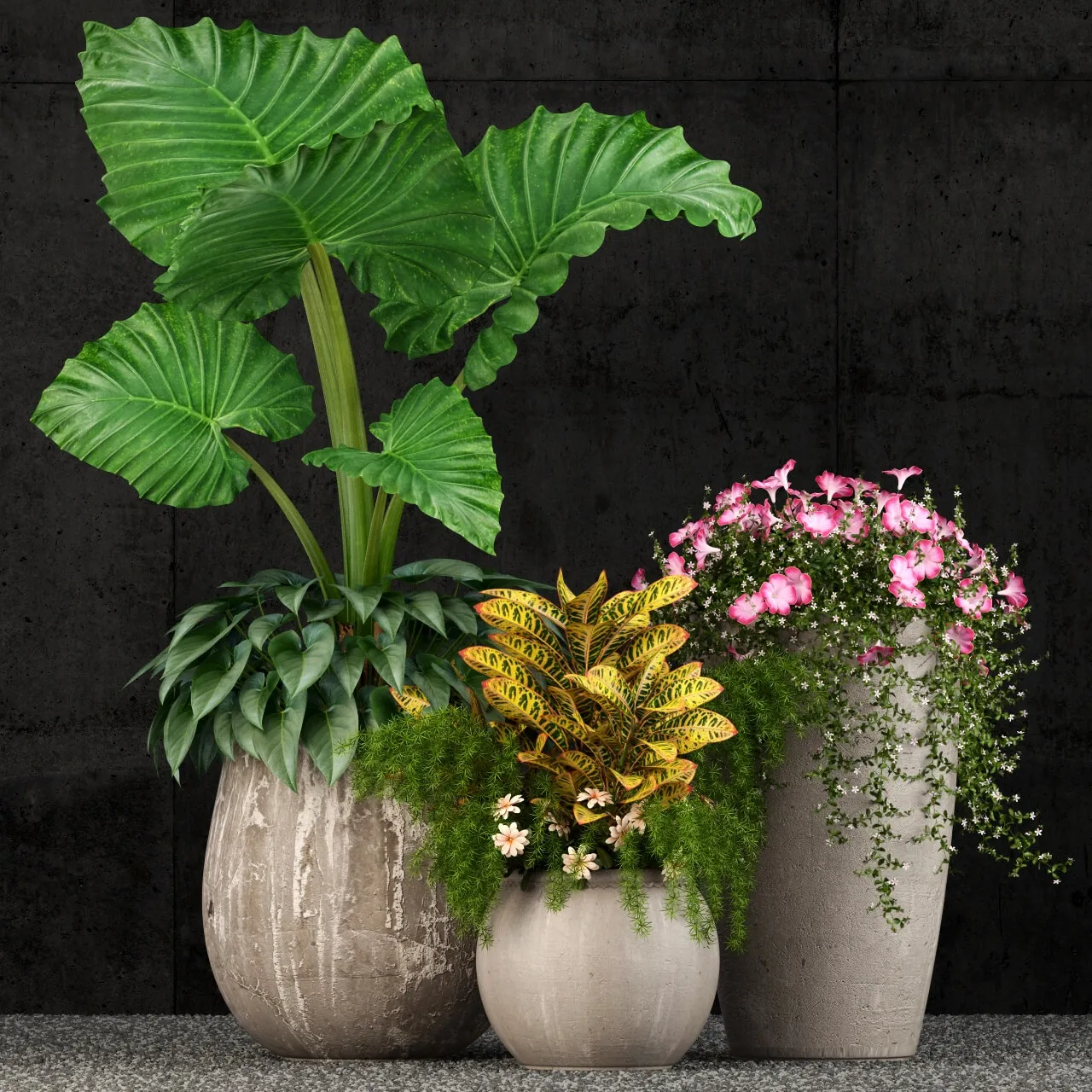 decoration – Plants collection 52 3ds Max