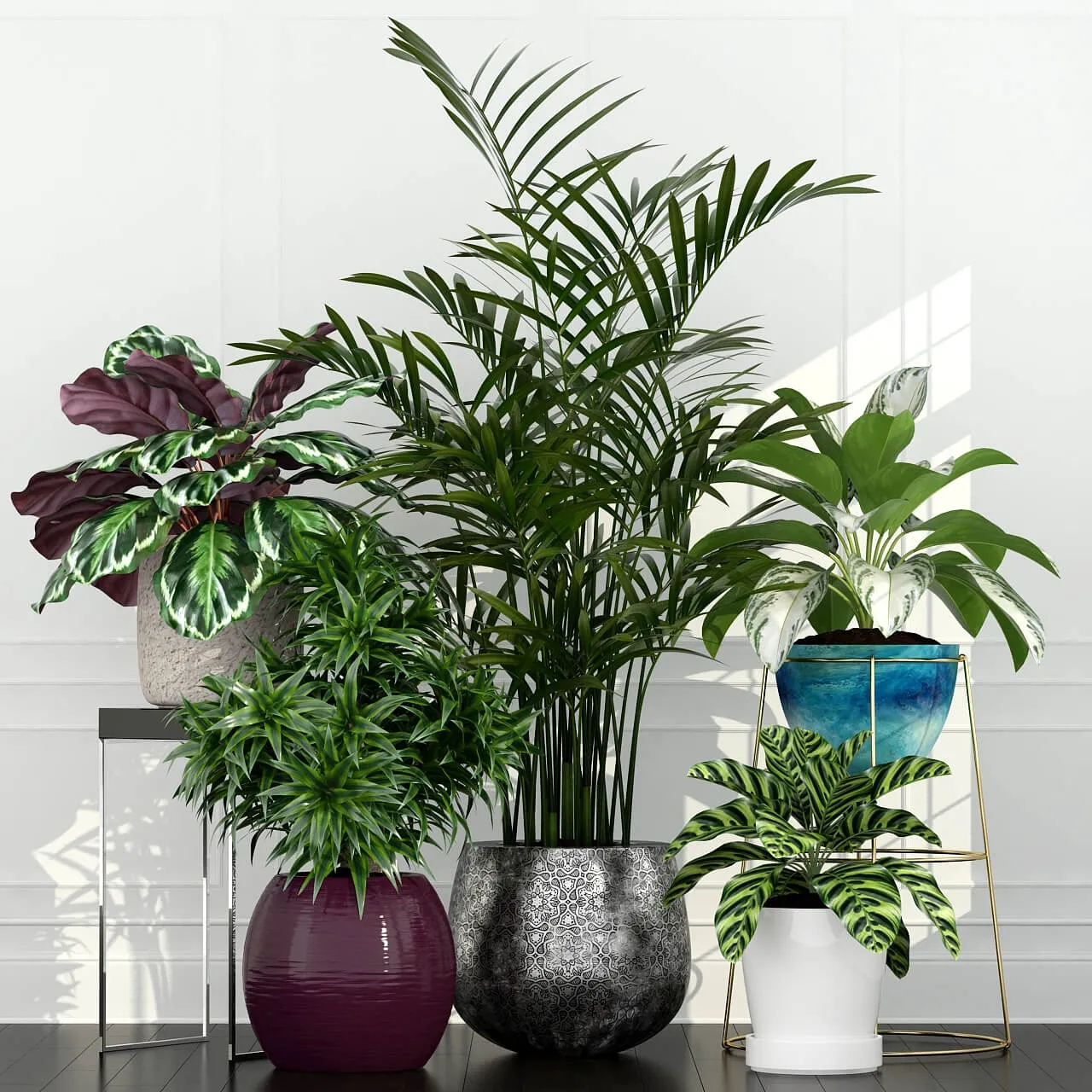decoration – Plants collection 54 3ds Max