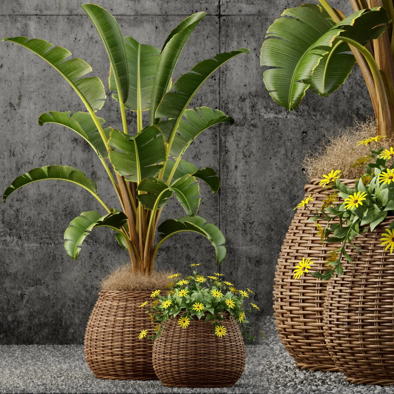 decoration – Plants collection 55 3ds Max