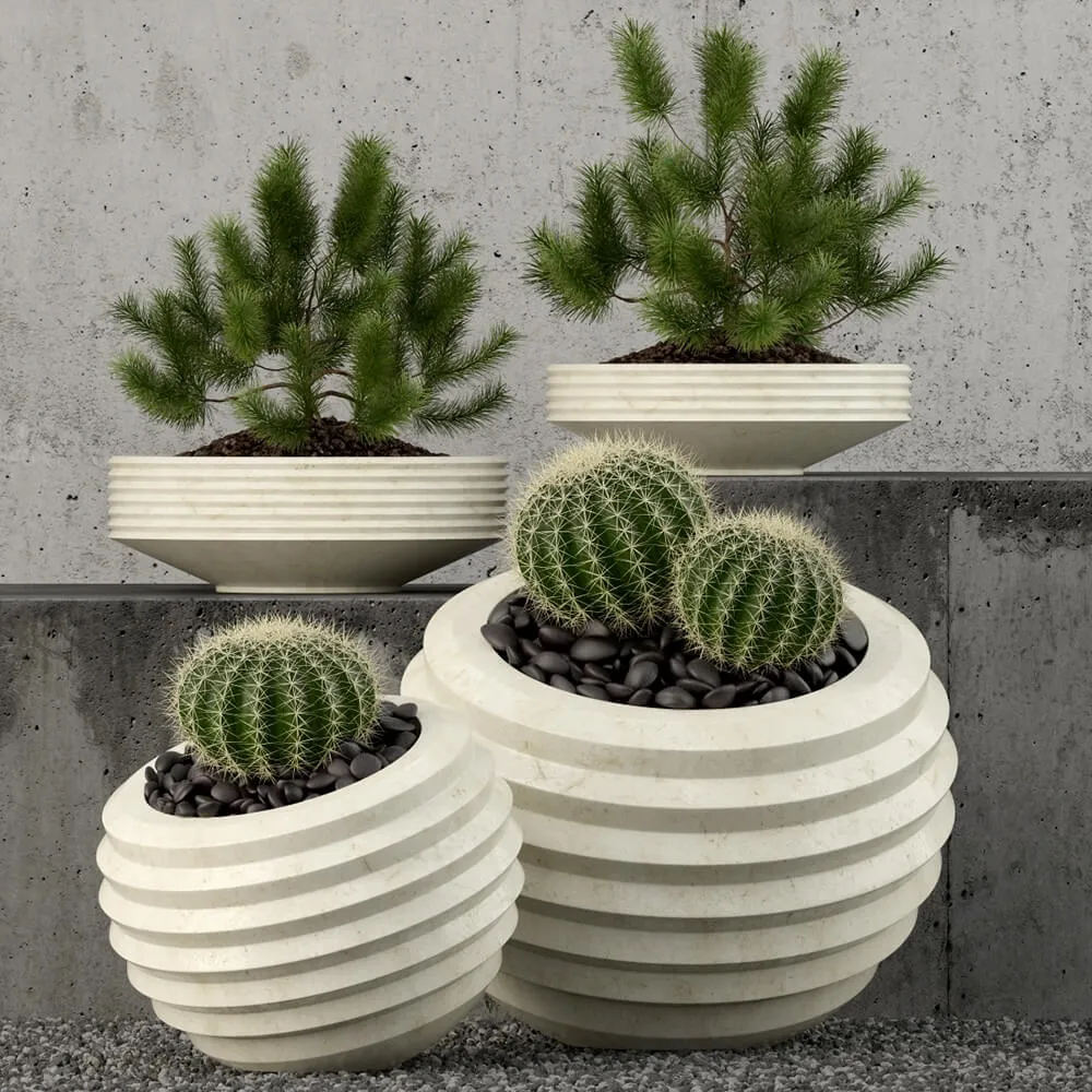 decoration – Plants collection 58 3ds Max