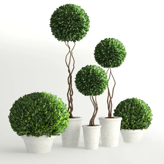 decoration – Plants collection 585 3ds Max