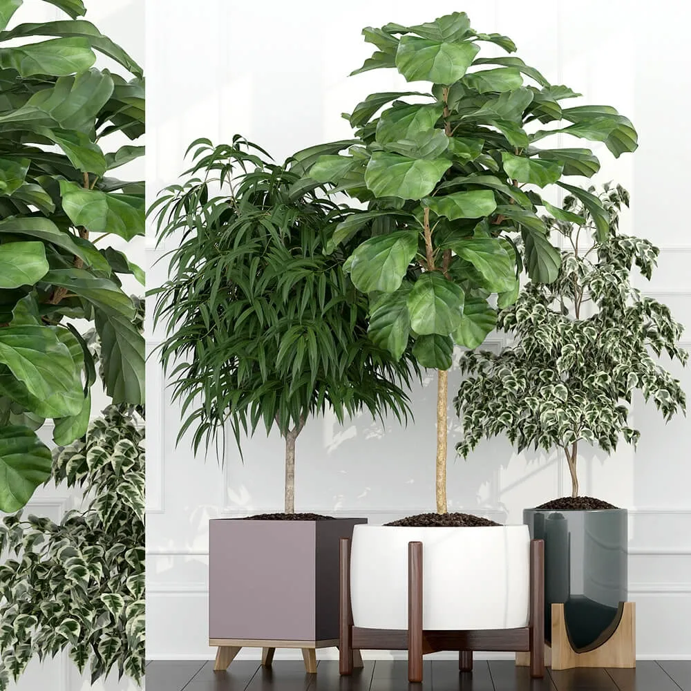 decoration – Plants collection 67 3ds Max