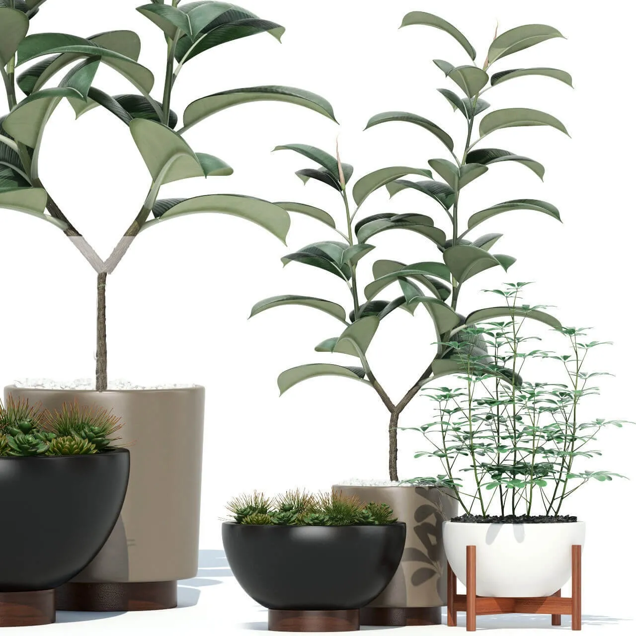decoration – Plants collection 73 Modernica pots 3ds Max