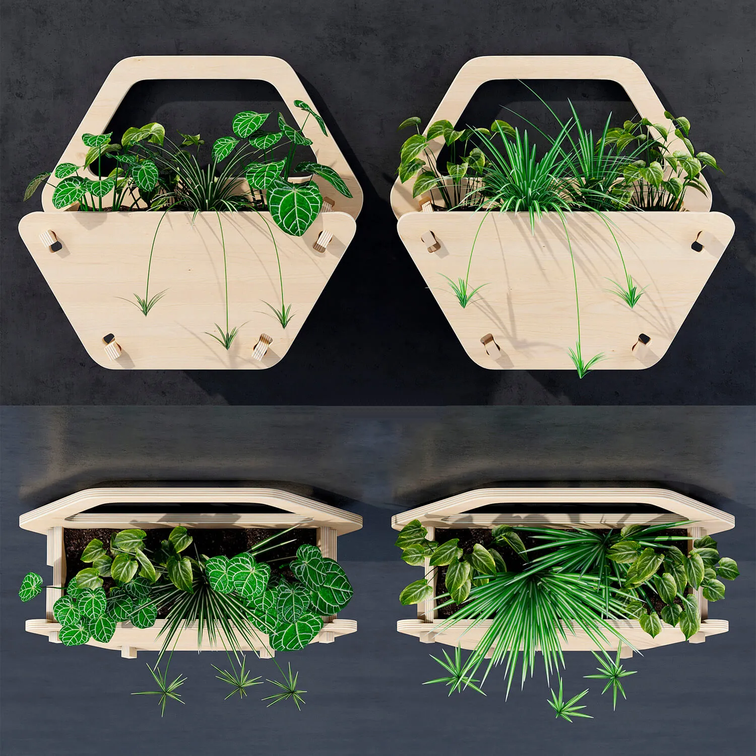decoration – Plants collection 79 3ds Max