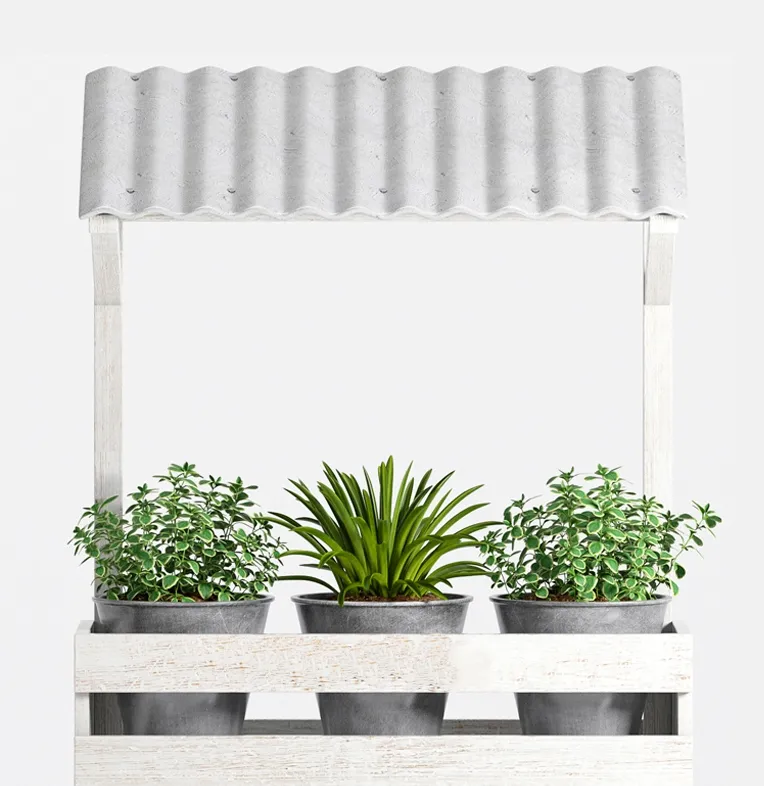 decoration – Plants collection 885 3ds Max