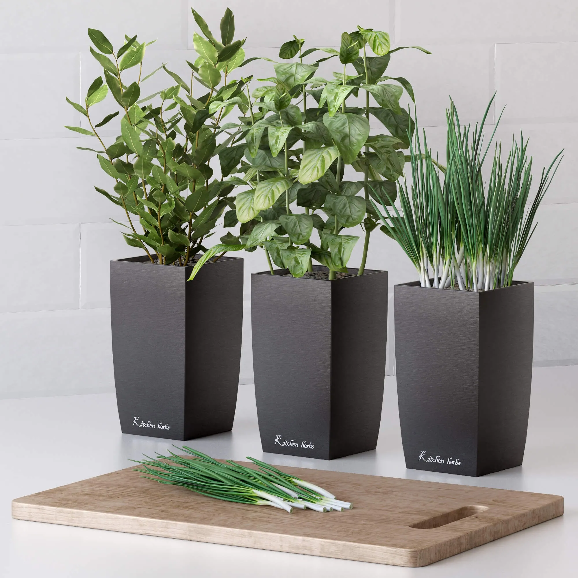 decoration – Plants for the kitchen 2 3ds Max