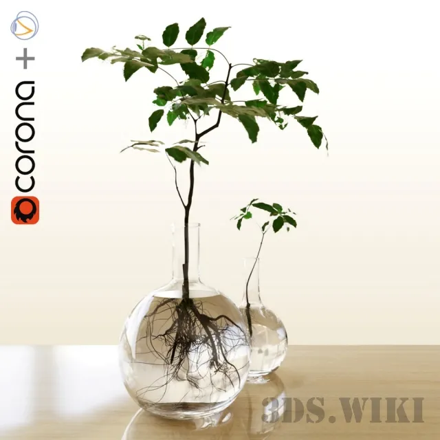 decoration – Plants in a flask 3ds Max