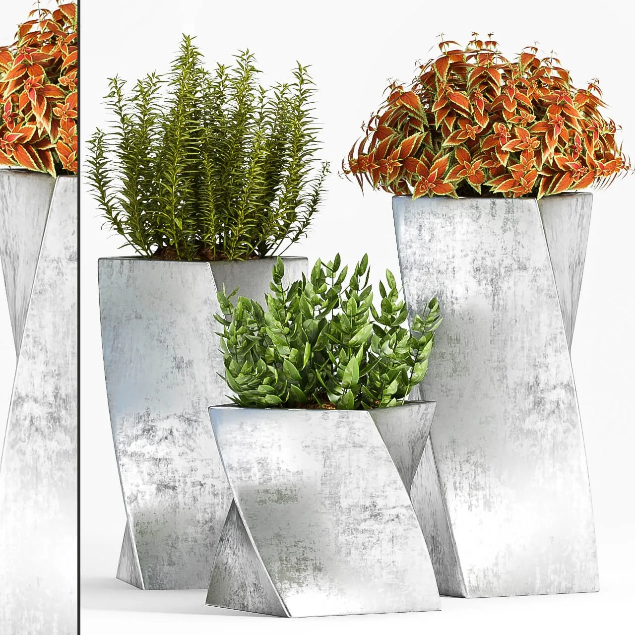 decoration – Plants in decorative pot 556 3ds Max