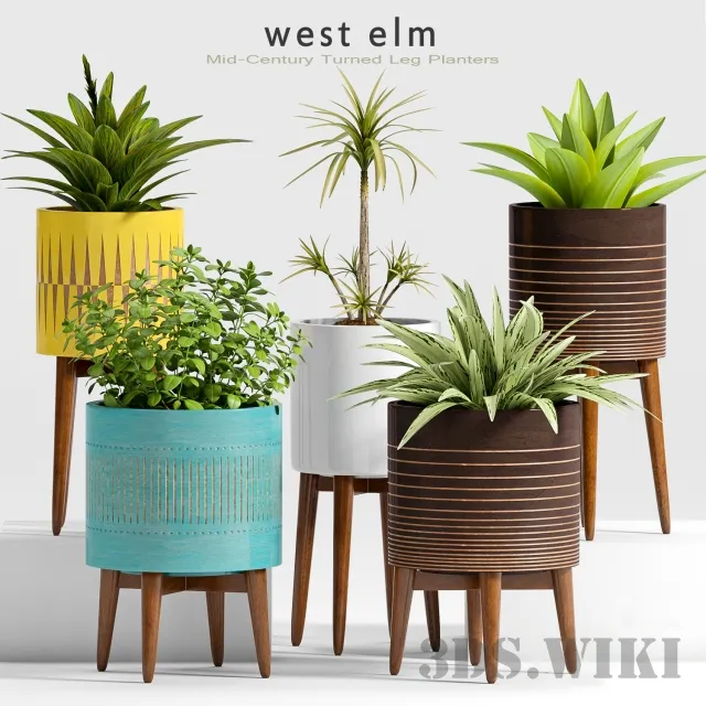 decoration – Plants in different pots West Elm 3ds Max
