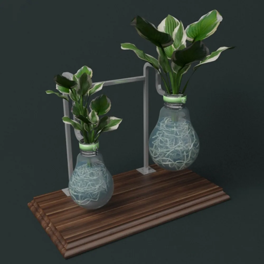 decoration – Plants in flasks 3ds Max