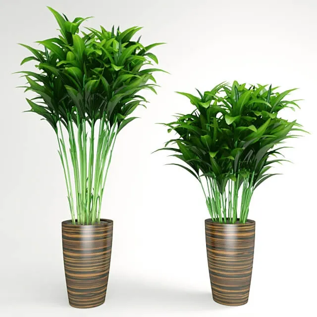 decoration – Plants in pots 020 3ds Max