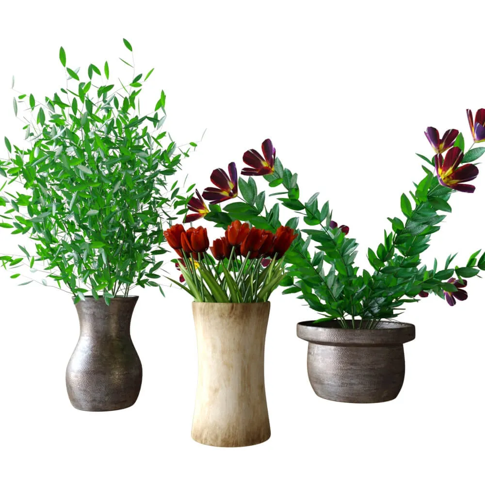 decoration – Plants in pots 023 3ds Max