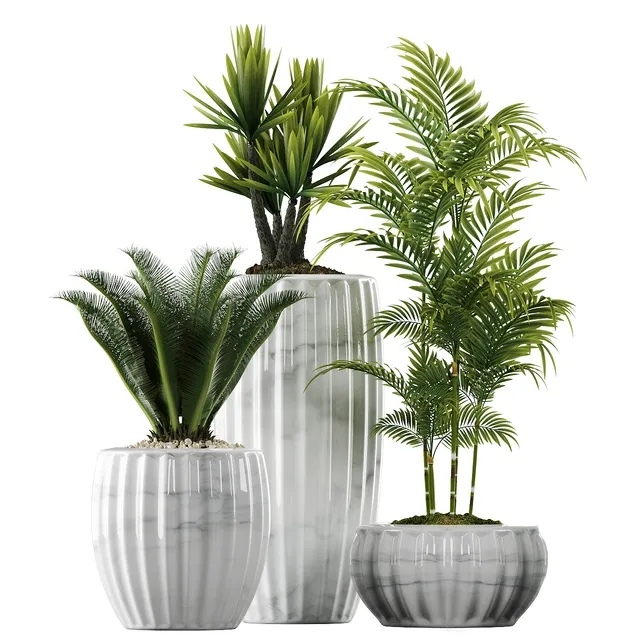 decoration – Plants in Pots 140 3ds Max