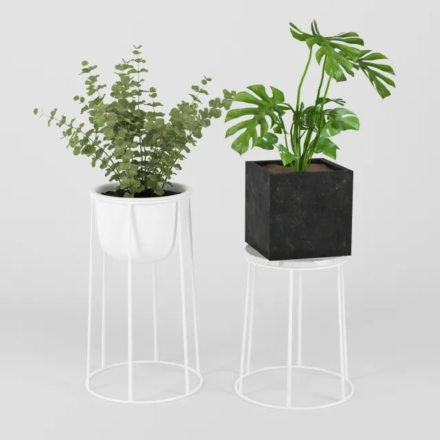 decoration – Plants in Pots 202 3ds Max