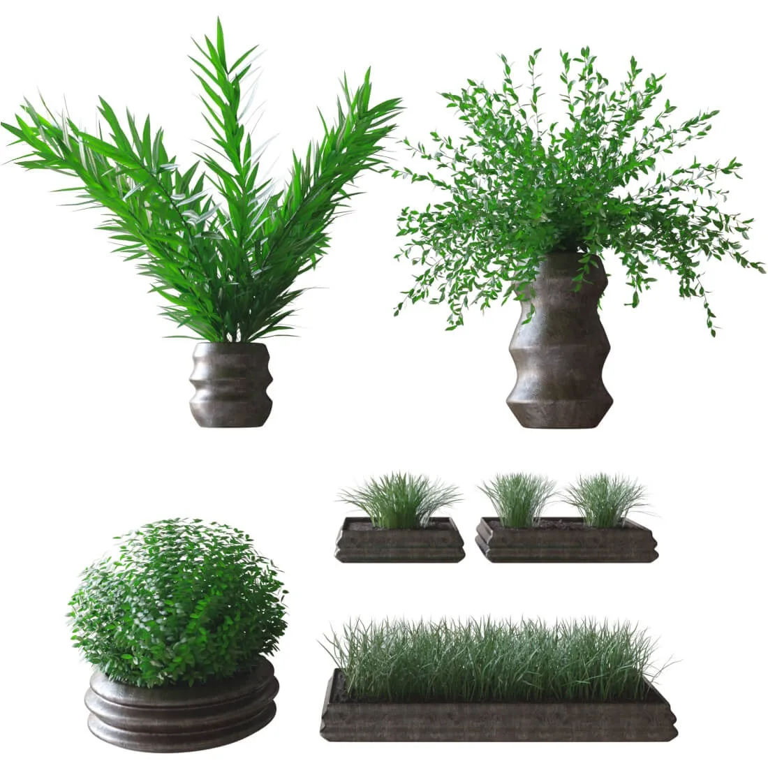 decoration – Plants in pots 3ds Max