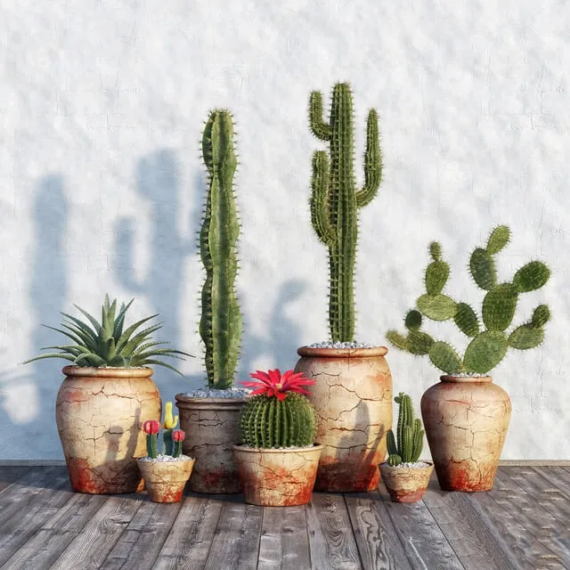 decoration – Plants in pots 554 3ds Max