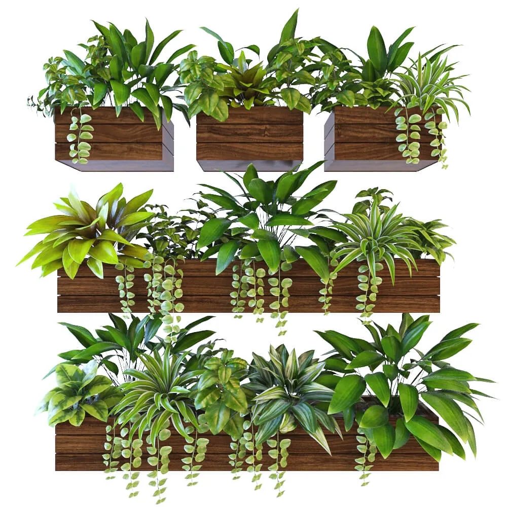 decoration – Plants on the wall 2 3ds Max