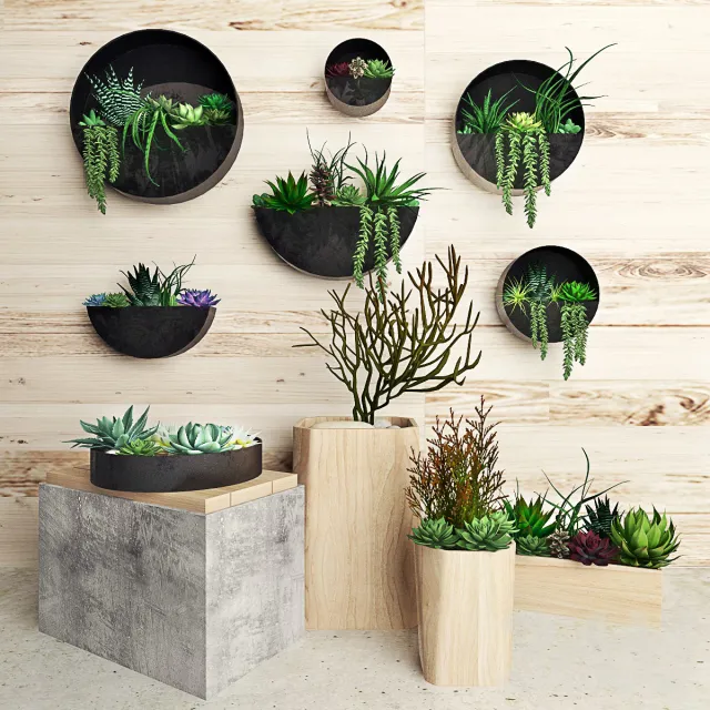 decoration – Plants on wall 3 3ds Max