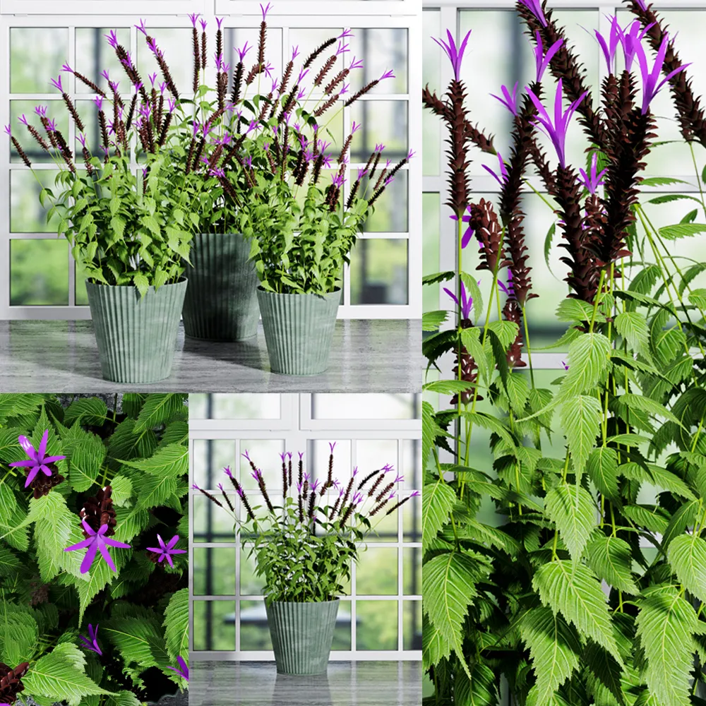 decoration – Plants set 014 3ds Max