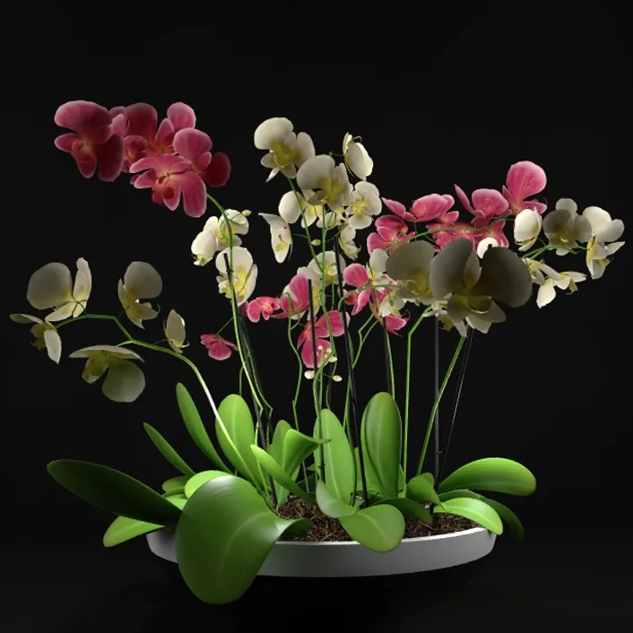 decoration – Plants set 07 3ds Max