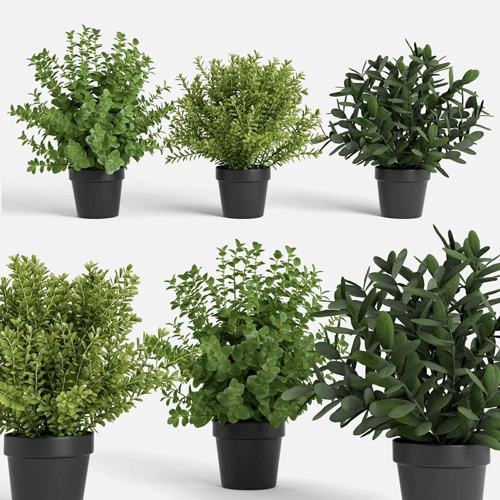 decoration – Plants set 100 3ds Max